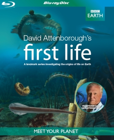   / David Attenborough's First Life (  / Mark Flowers) [2010 ., , Blu-ray, 1080i] AVO .